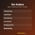 Tên Roblox ngầu, dễ thương và có kí hiệu để sao chép